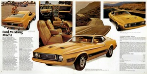 1973 Ford Mustang-06-07.jpg